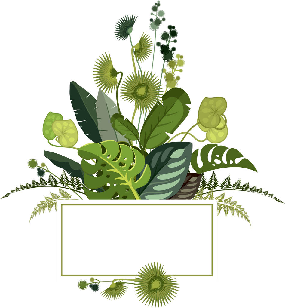 Botanical illustration of exotic leaves - Vector, Image