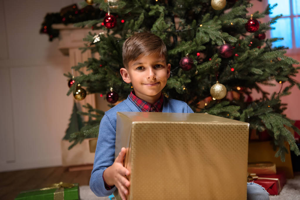 niño sosteniendo regalo de Navidad
 - Foto, imagen