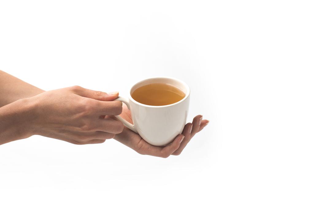 taza de té de hierbas en las manos
 - Foto, imagen