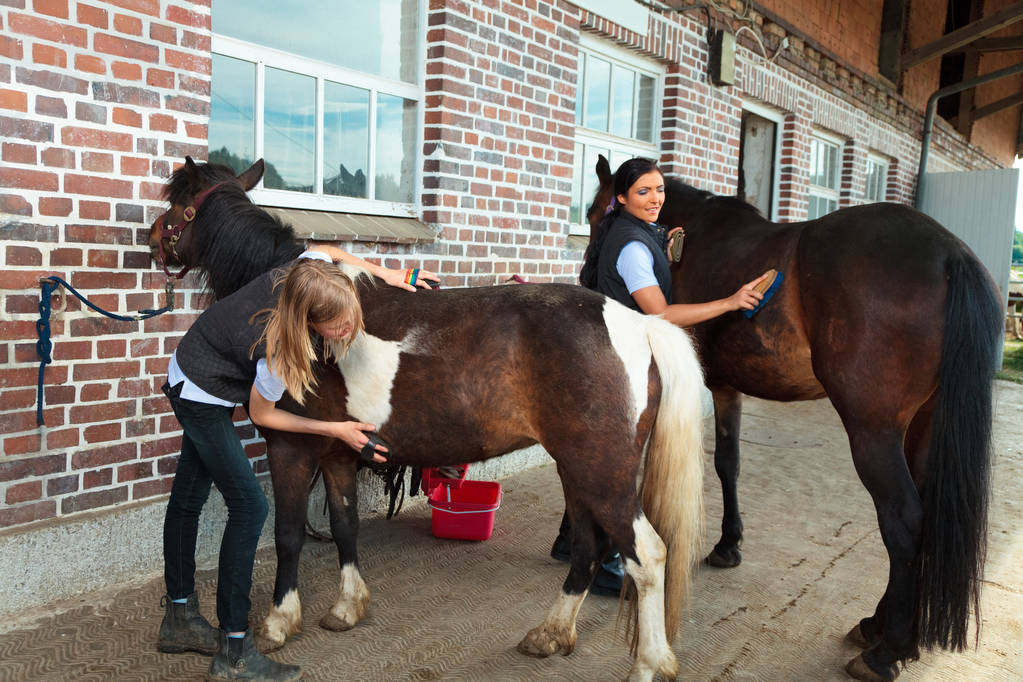 Lány és fiatal nő, a lovak - Fotó, kép