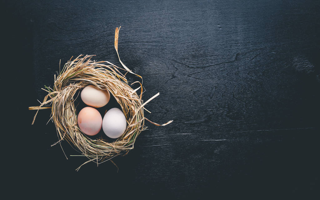 Куриные яйца в гнезде
. - Фото, изображение