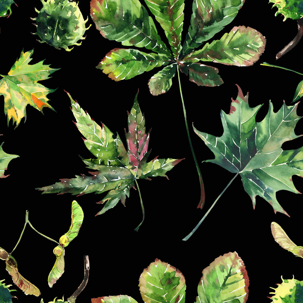 Красивый прекрасный графический яркий цветочный травяной осенью зеленый кленовый каштан листья и каштанов узор на черном фоне акварели руки эскиз. Идеально подходит для текстиля, обоев, оберточной бумаги
 - Фото, изображение