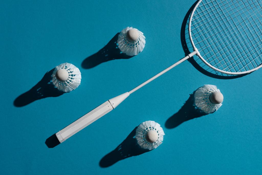 Sprzęt badmintona - Zdjęcie, obraz