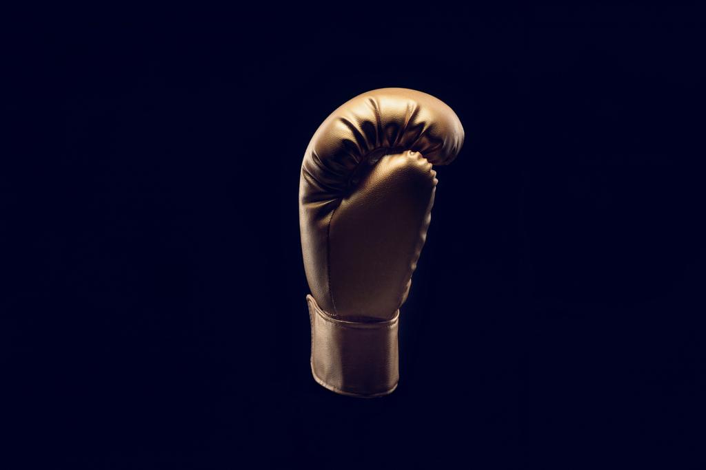 боксерська рукавичка
 - Фото, зображення