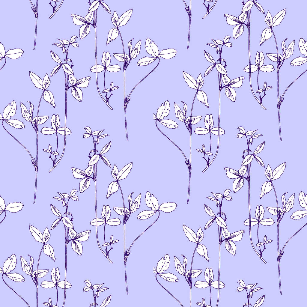 nahtloses Muster mit Kräutern und Blumen - Vektor, Bild