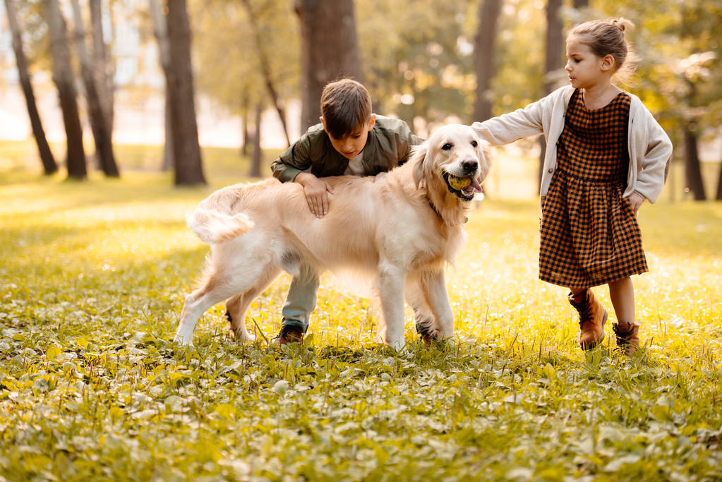 children petting dog  - Photo, Image