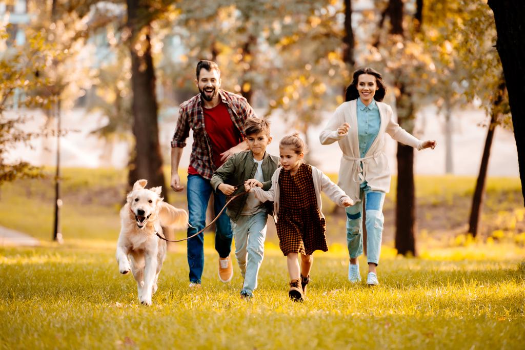 perhe juoksee koiran kanssa puistossa
 - Valokuva, kuva