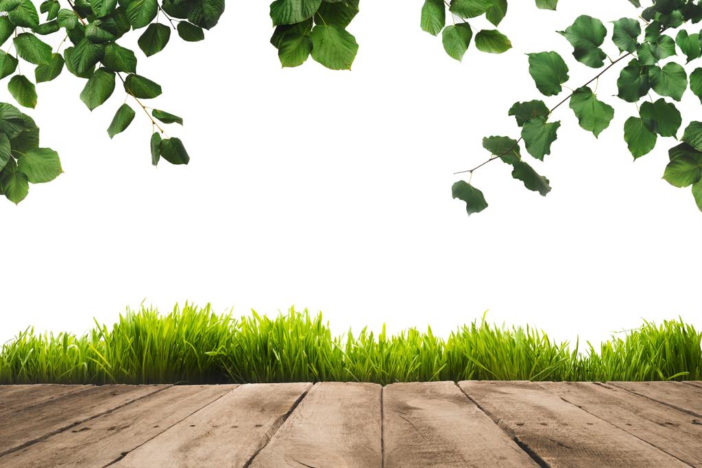 зелене листя, бордюр і дерев'яні дошки
 - Фото, зображення