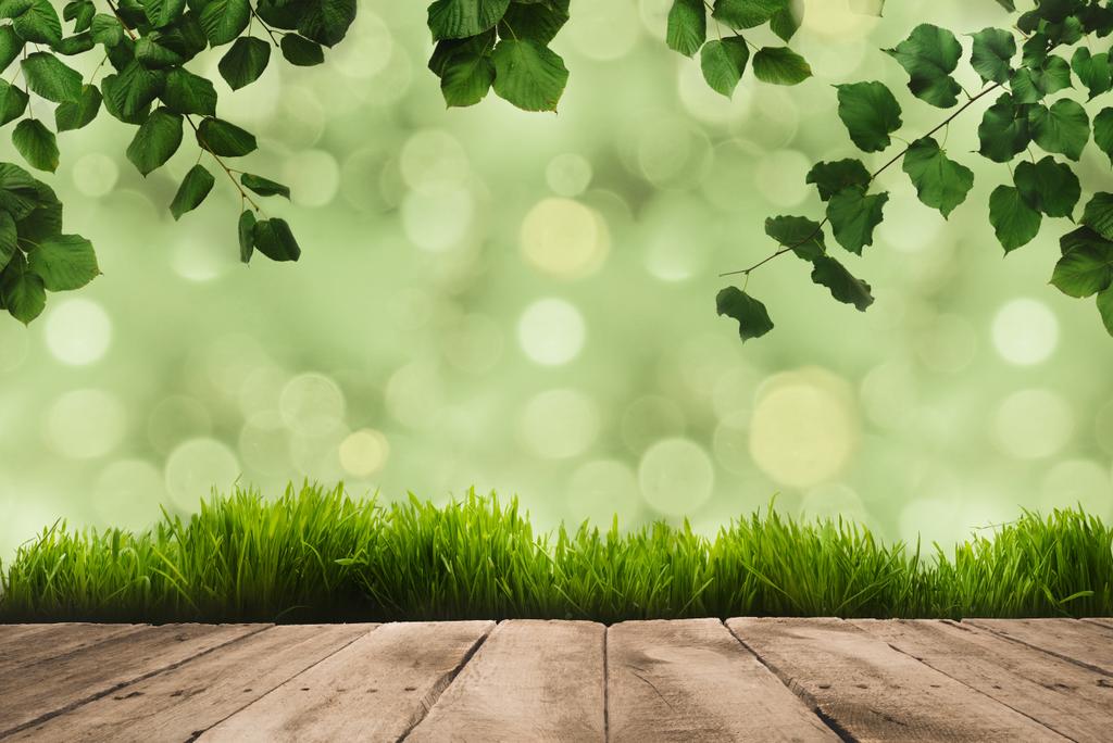zelené listy, drnu a Dřevěná prkna - Fotografie, Obrázek