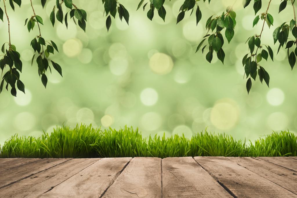 zelené listy, drnu a Dřevěná prkna - Fotografie, Obrázek