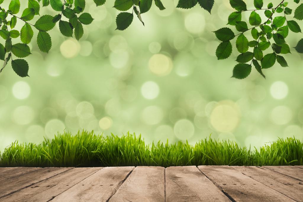 grüne Blätter, Grasnarbe und Holzbohlen - Foto, Bild