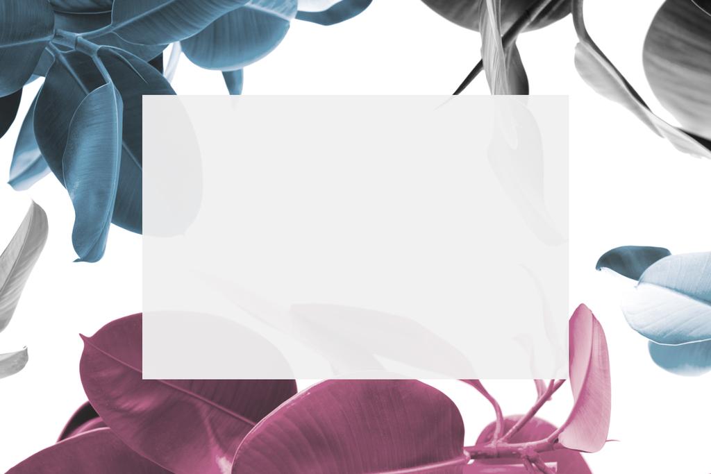 plantas e cartão em branco
 - Foto, Imagem