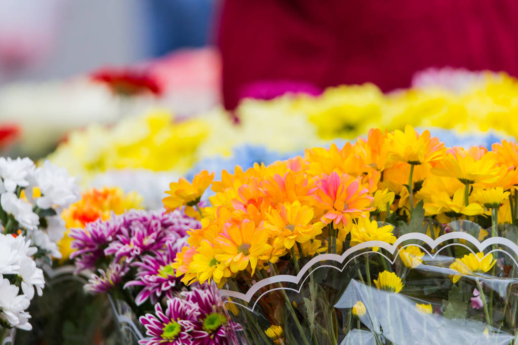 I mazzi di crisantemi multicolori sono venduti in un mercato di strada. Fiori gialli, blu, rossi, viola
 - Foto, immagini