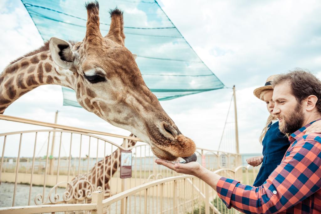 família alimentando girafa no zoológico
 - Foto, Imagem