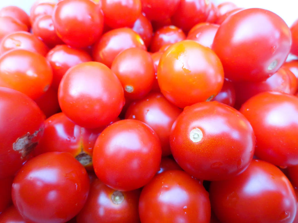 Pequenos tomates vermelhos e amarelos nos pratos. Tomates jovens em uma xícara
. - Foto, Imagem