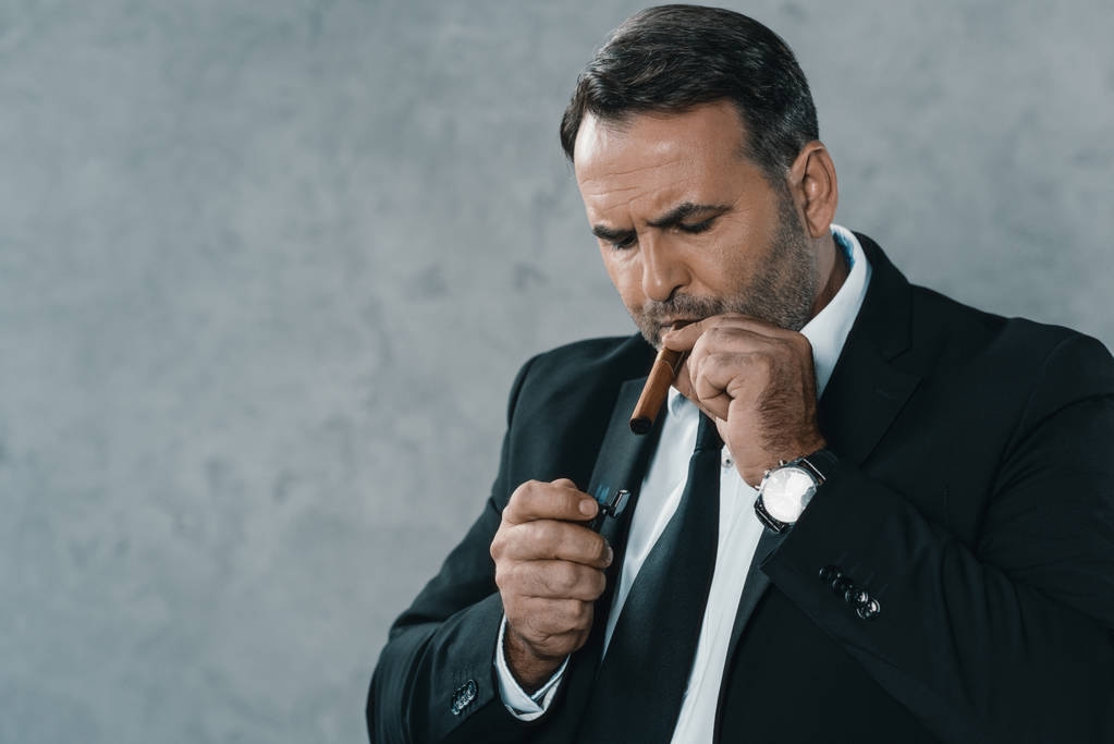 ビジネスマン喫煙葉巻 - 写真・画像