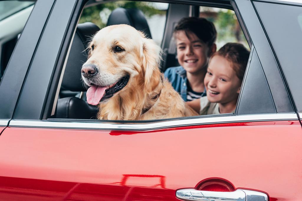a kutya autóban ülő gyerek - Fotó, kép