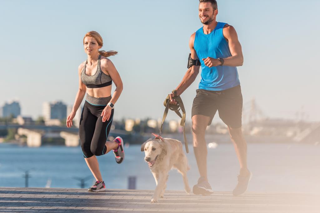 sportif et sportif jogging avec chien
 - Photo, image