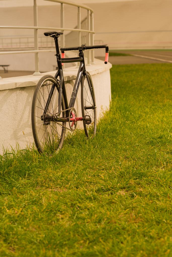 bicycle on green grass - Photo, Image