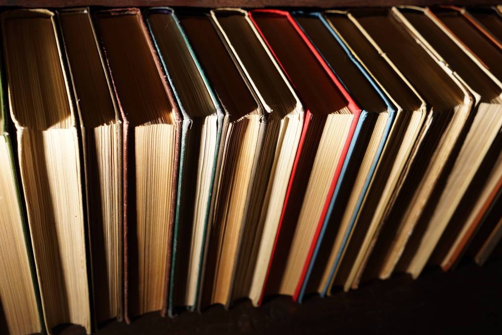  Bücher auf braunem Holzregal              - Foto, Bild