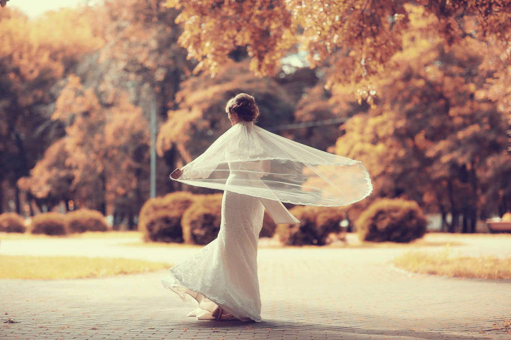 novia en vestido de novia blanco   - Foto, Imagen