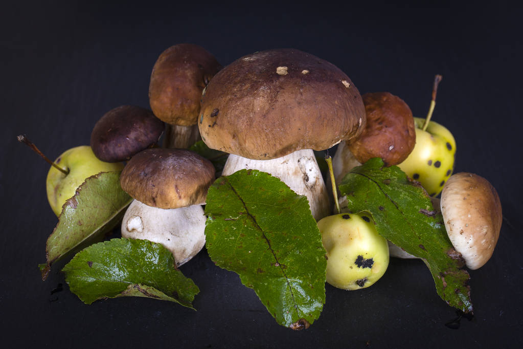 Bílé houby s jablky a zelené listy na černém pozadí břidlice - Fotografie, Obrázek
