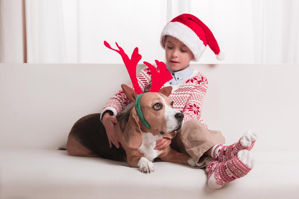 chłopiec i jego pies na Boże Narodzenie - Zdjęcie, obraz