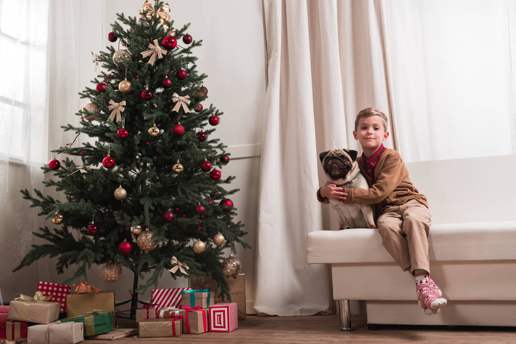 boy sitting on couch with pug - Photo, Image
