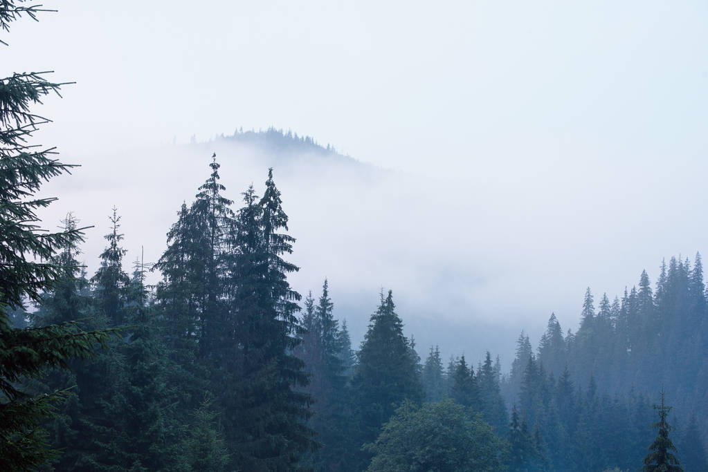 Mlhavá horská krajina - Fotografie, Obrázek