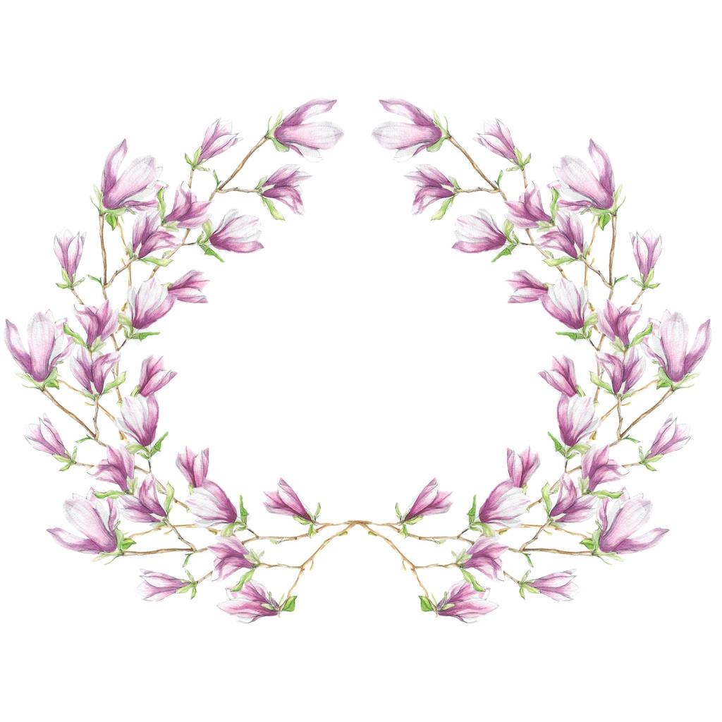   kwiaty w akwarela - kwitnących magnolii (gałązka) - Wektor, obraz