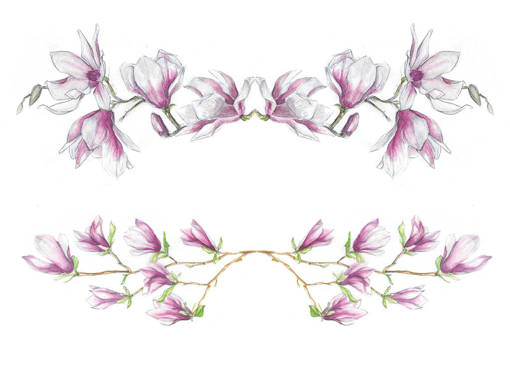   Akvarel květiny - kvetoucí magnólie (větvička) - Vektor, obrázek