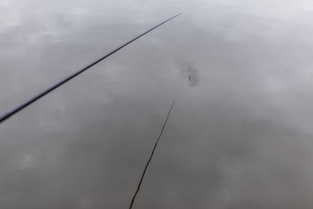 caña de pescar y flotador
 - Foto, Imagen