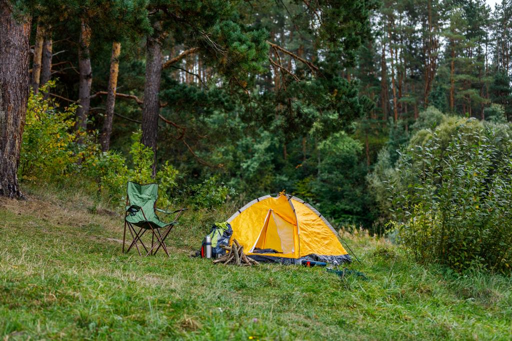 camping with tent in forest - Photo, Image