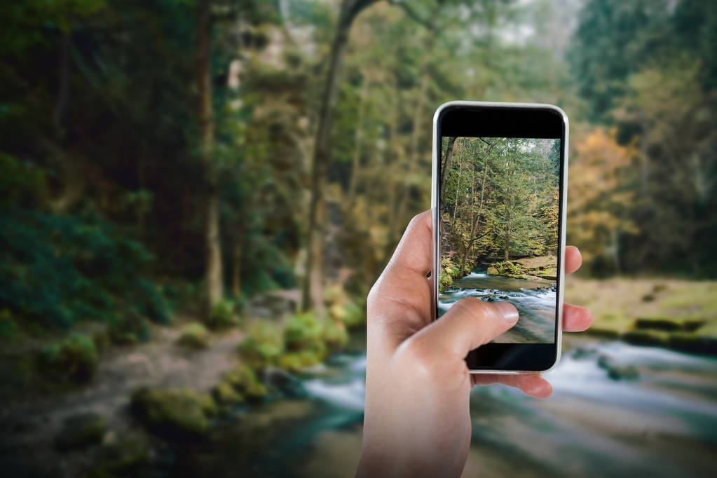abgeschnittenes Bild einer Hand, die ein Smartphone hält - Foto, Bild