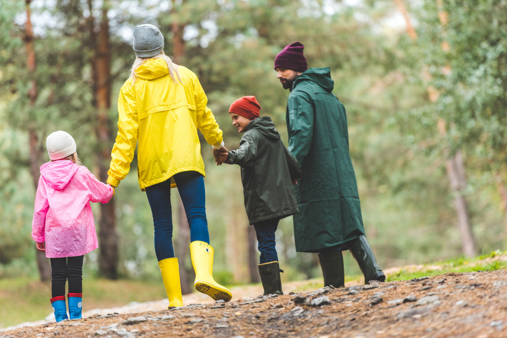 família em capas impermeáveis andando na floresta
 - Foto, Imagem
