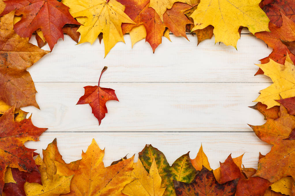 秋の紅葉と白い木製の背景 - 写真・画像