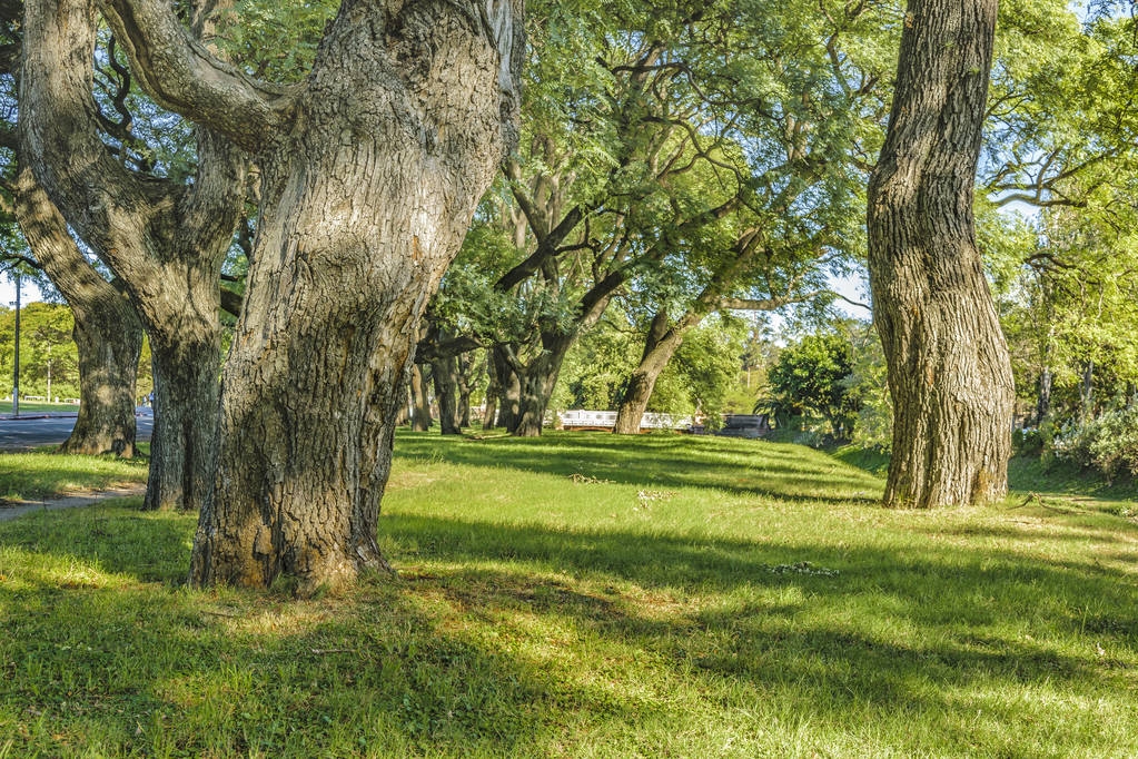 Prado Park, Montevideo, Uruguay - Valokuva, kuva