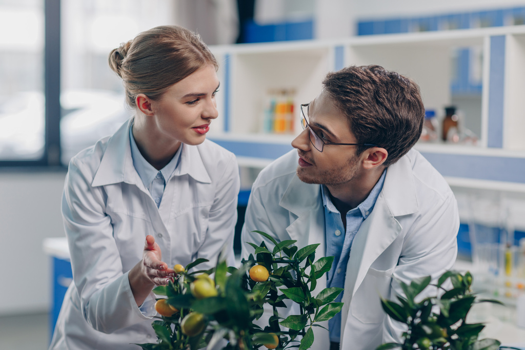 biólogos com plantas de limão em laboratório
 - Foto, Imagem