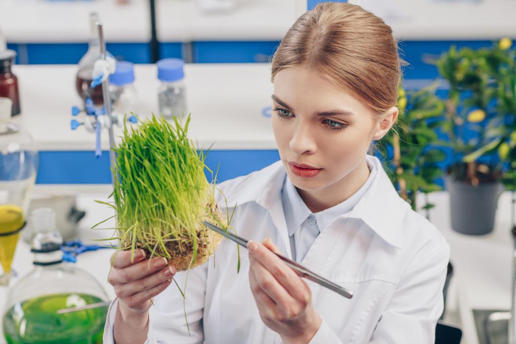 hermoso biólogo con hierba
   - Foto, imagen