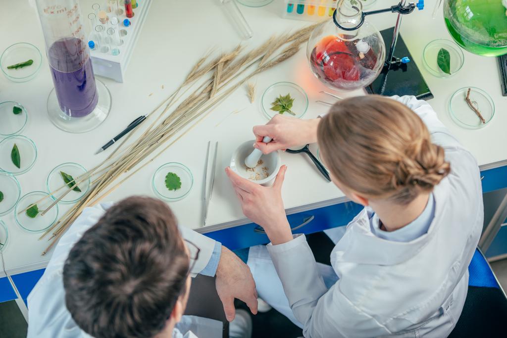 Biologen arbeiten mit Petrischalen - Foto, Bild