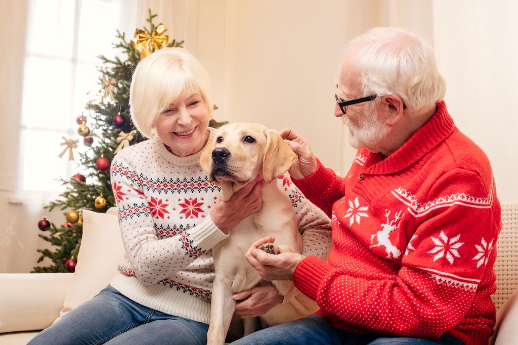 Senior echtpaar met hond met Kerstmis - Foto, afbeelding