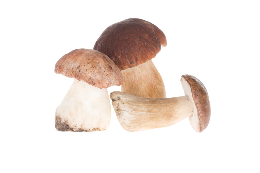 Three porcini mushrooms  - Photo, Image