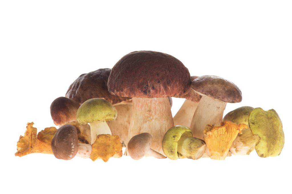 Haufen verschiedener Pilzarten - Foto, Bild