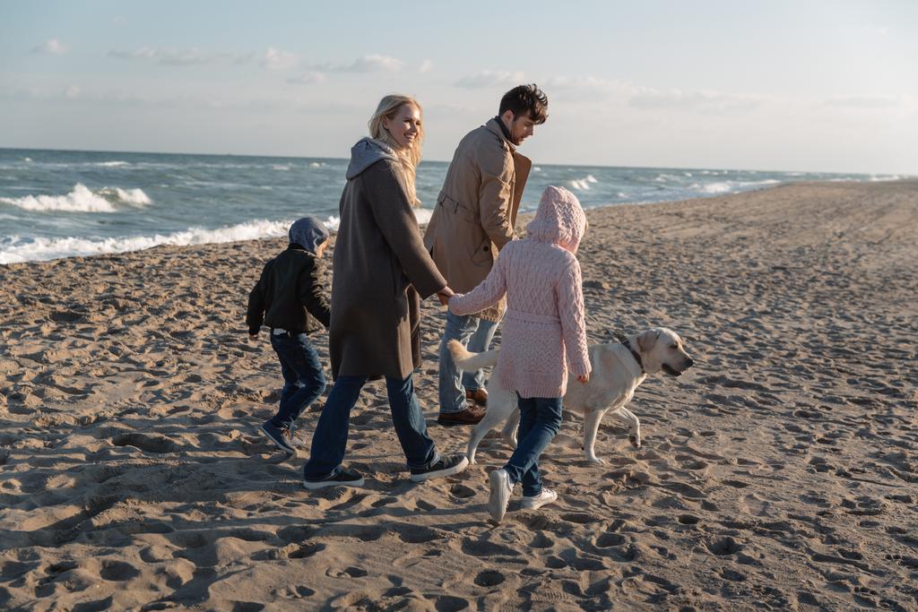 promenade en famille avec chien sur la plage
 - Photo, image