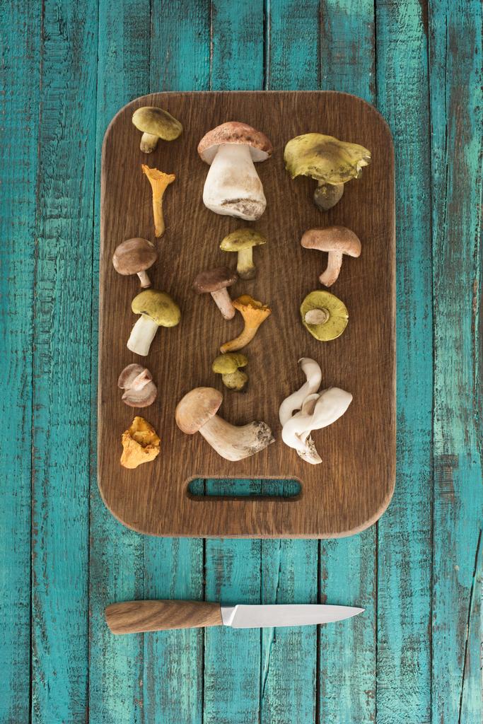 Different types of mushrooms on wooden board - Photo, Image