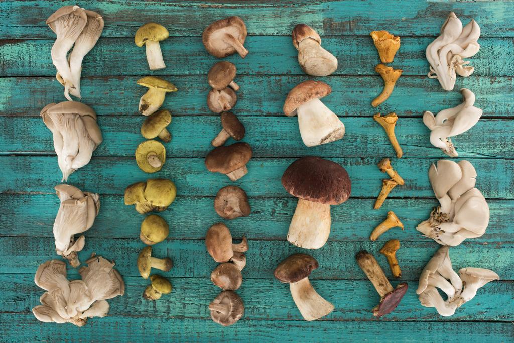 diferentes tipos de cogumelos na superfície de madeira
 - Foto, Imagem
