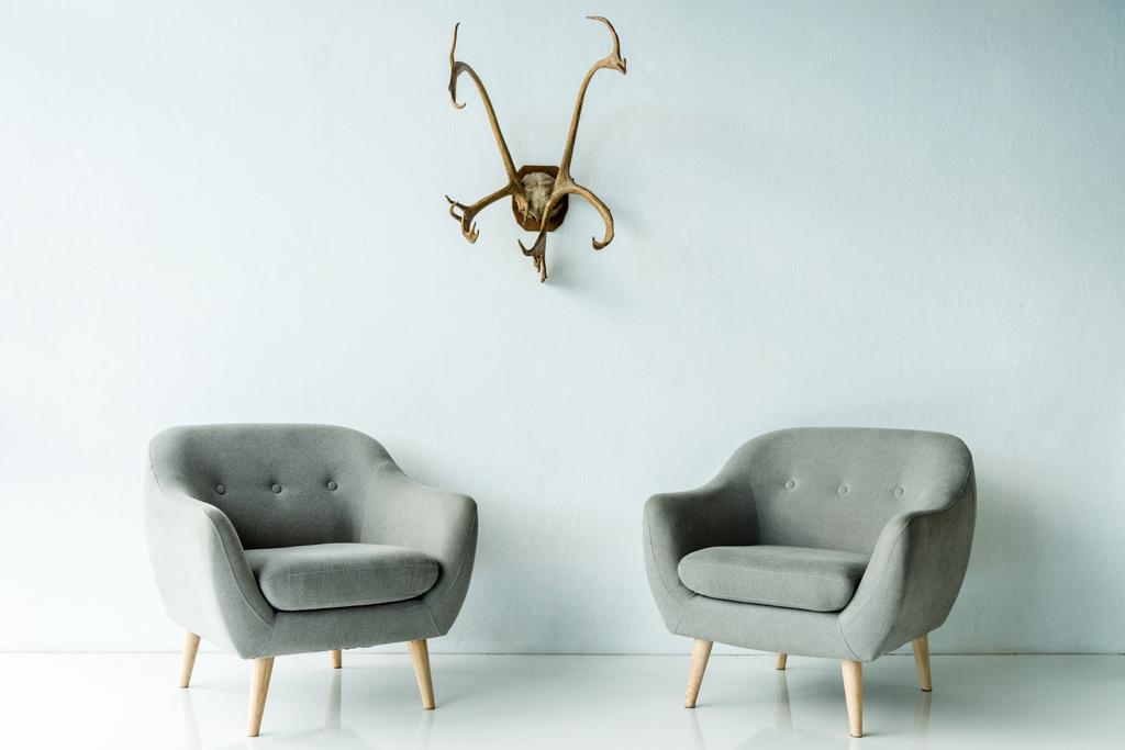 gray armchairs and antlers on wall - Photo, Image