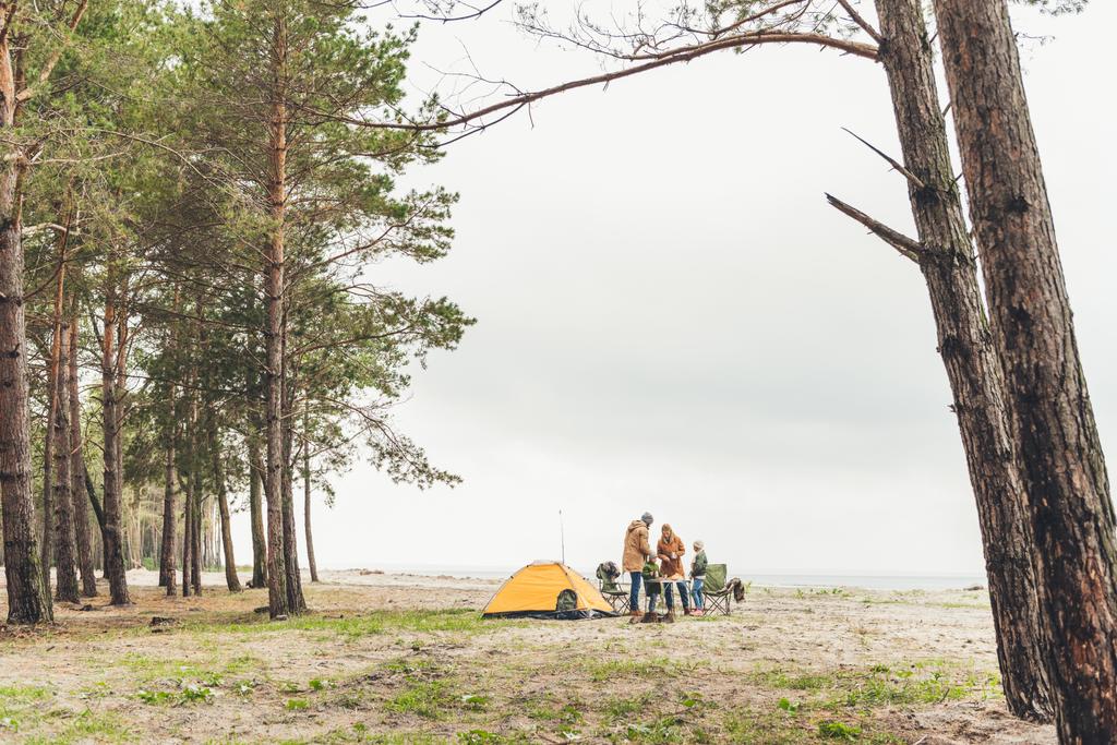 familie picknick gelet op aard - Foto, afbeelding