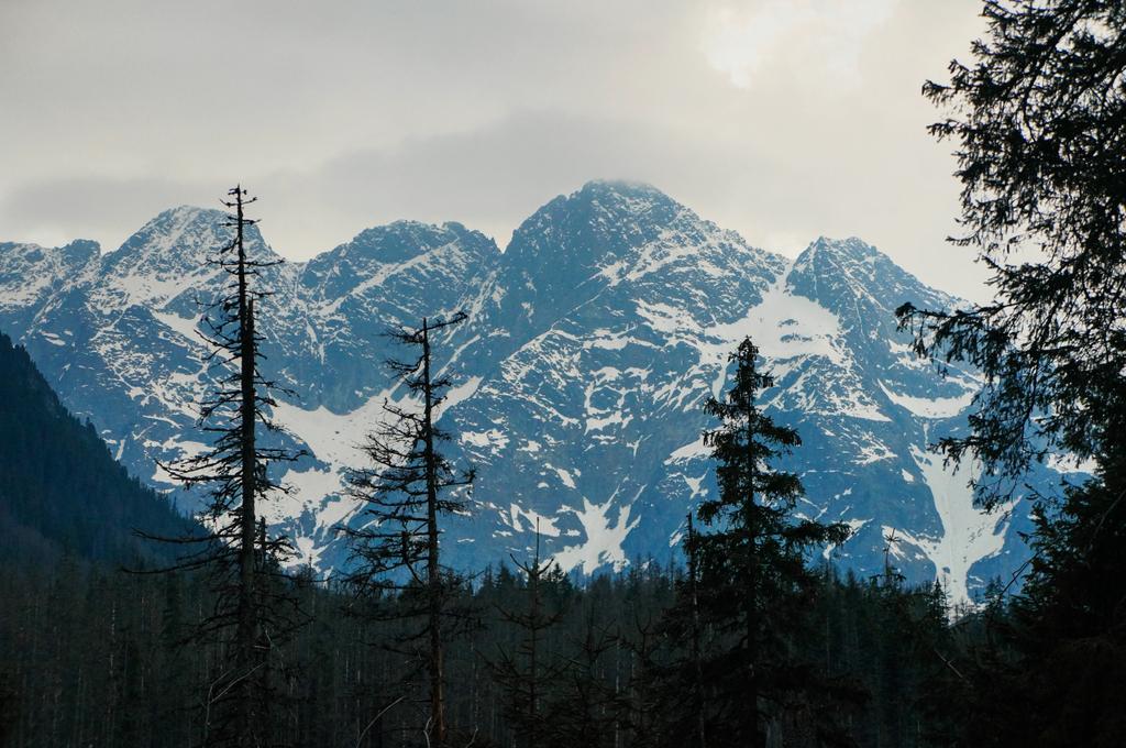talvi vuoret maisema
 - Valokuva, kuva