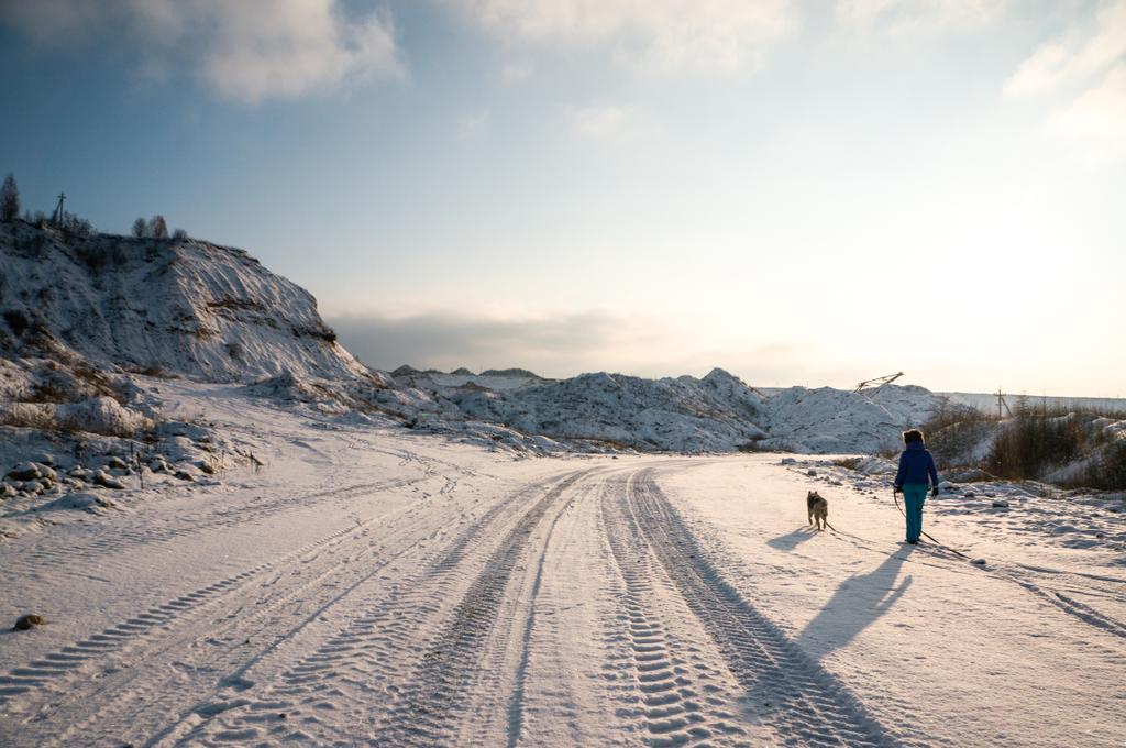 vrouw en hond lopen op besneeuwde weg - Foto, afbeelding
